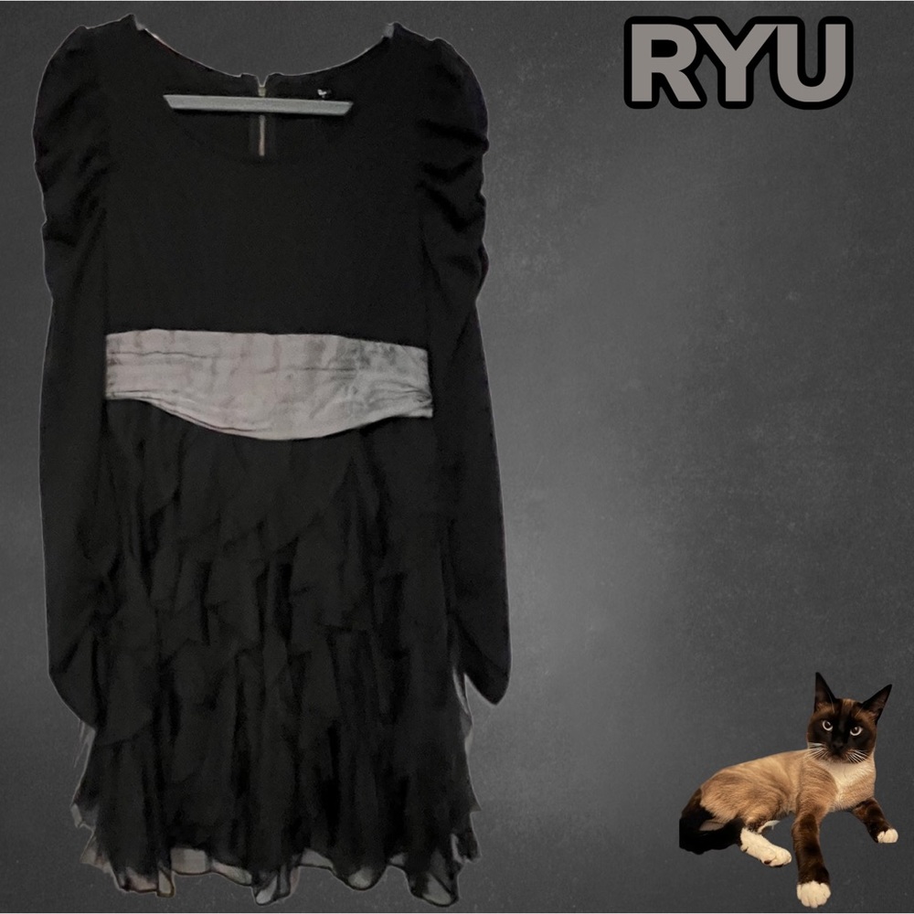 NWT $99 RYU Dark Academia Lined Ruffle Skirted Puff Long Sleeve Dress
